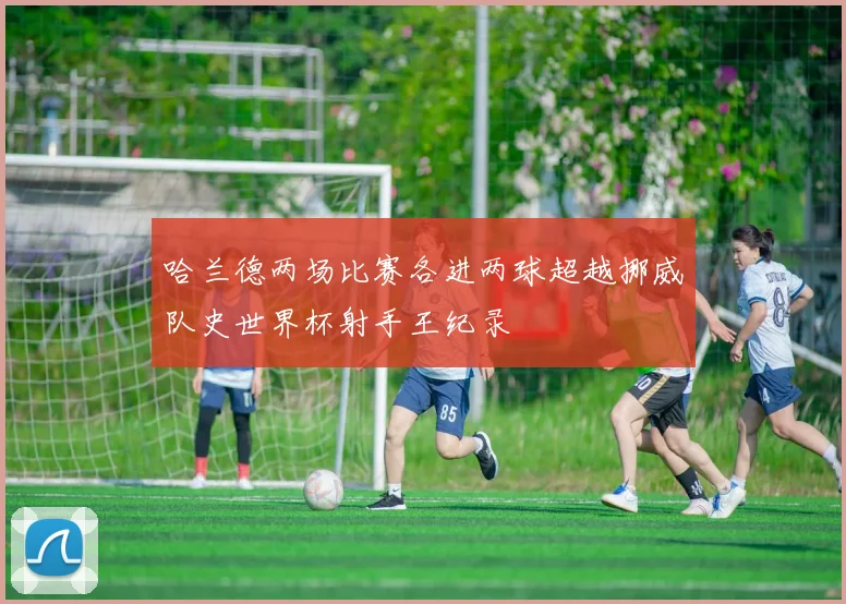 哈兰德两场比赛各进两球超越挪威队史世界杯射手王纪录