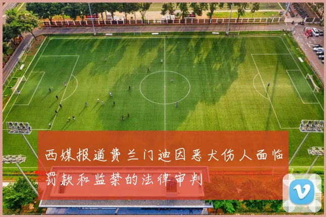 西媒报道费兰门迪因恶犬伤人面临罚款和监禁的法律审判